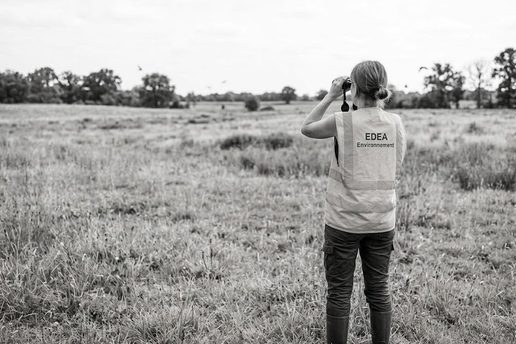 Observation à la jumelle d'une prairie lors d'un inventaire